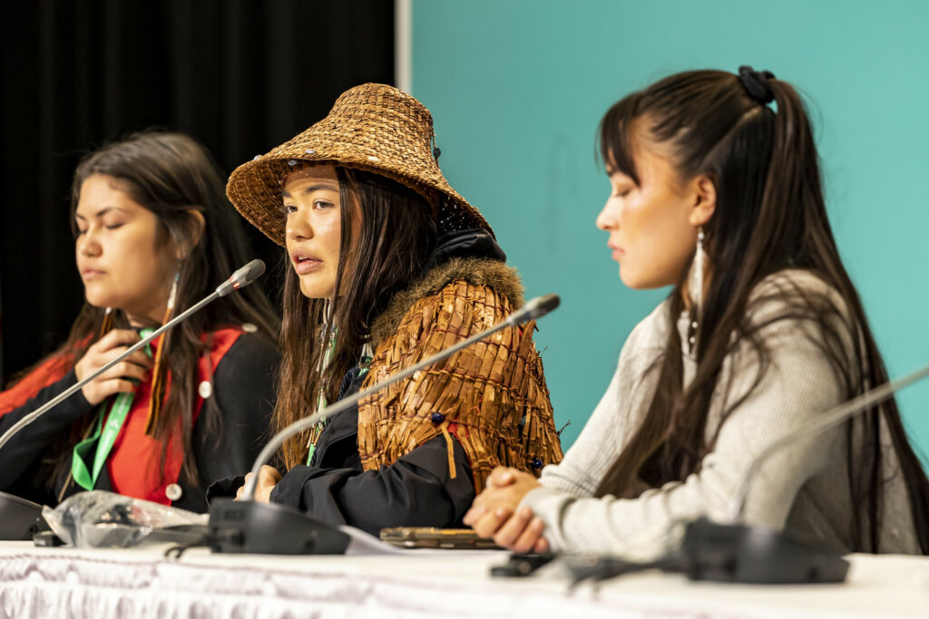 A panel at the UN Biodiversity Indigenous Youth call
