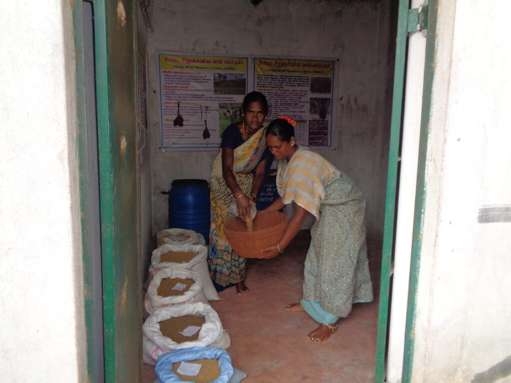 Women measuring millet seeds 